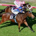 Magicool jets to Brisbane for Queensland Derby